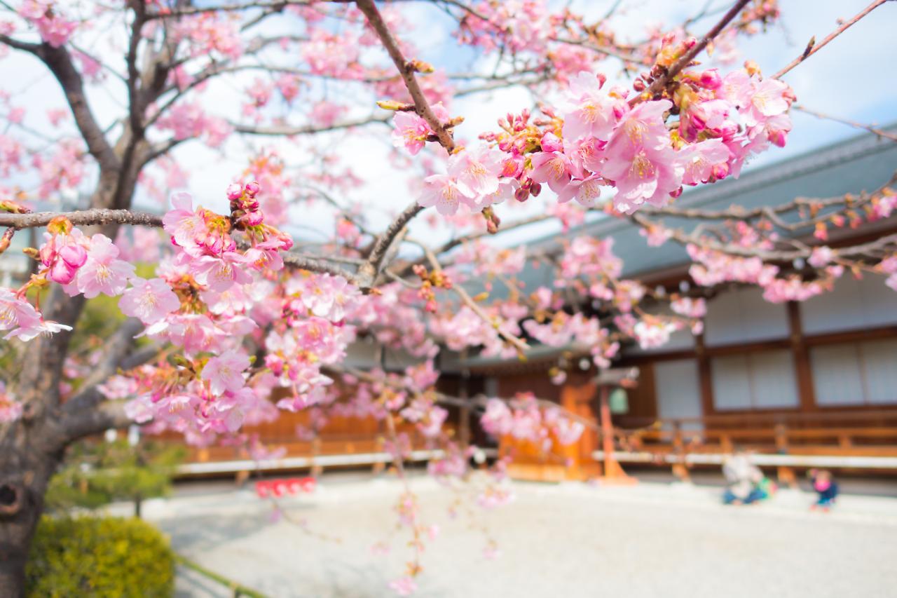 Stay Sakura Kyoto Shijo Karasuma Eksteriør bilde