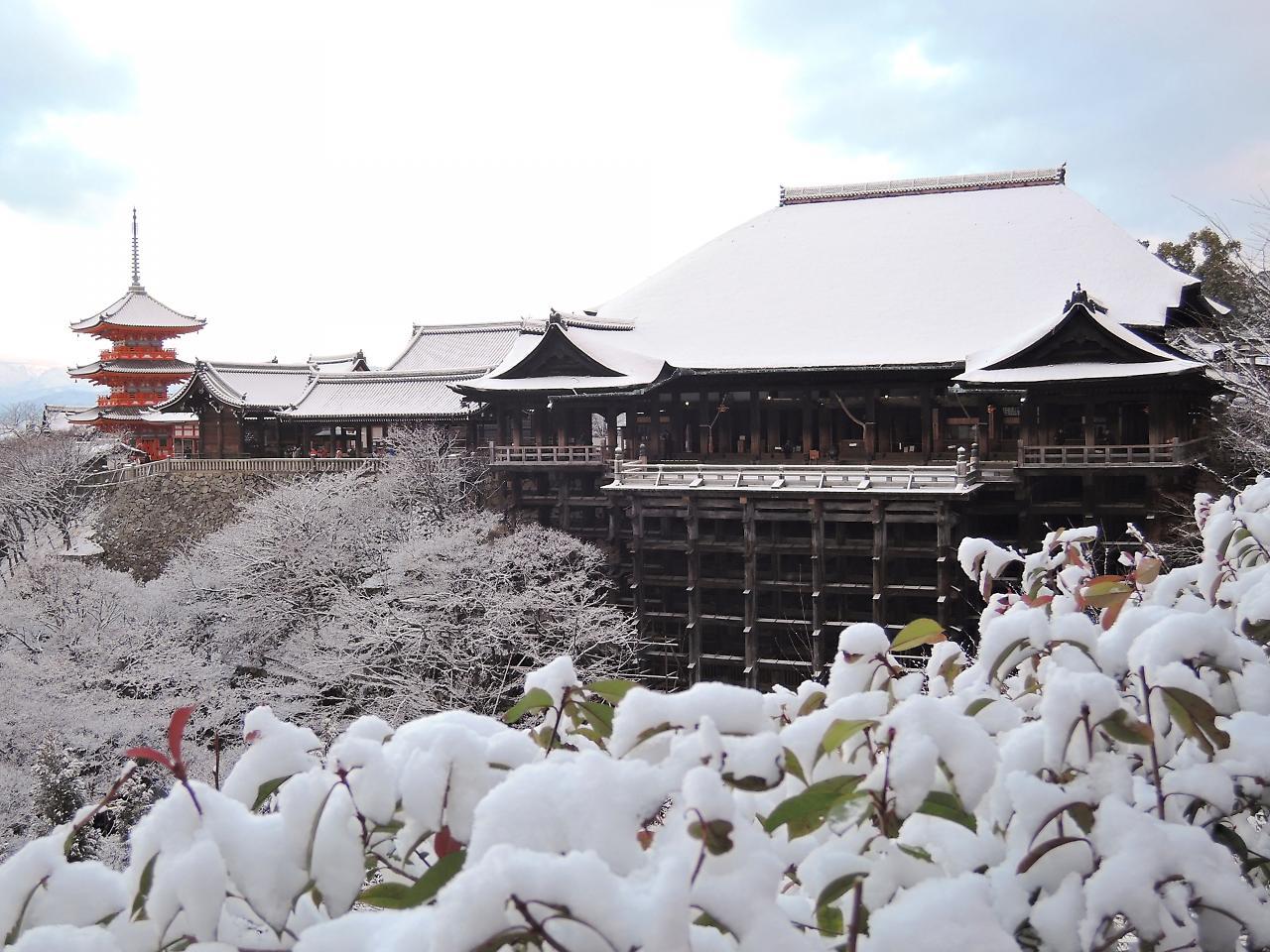 Stay Sakura Kyoto Shijo Karasuma Eksteriør bilde
