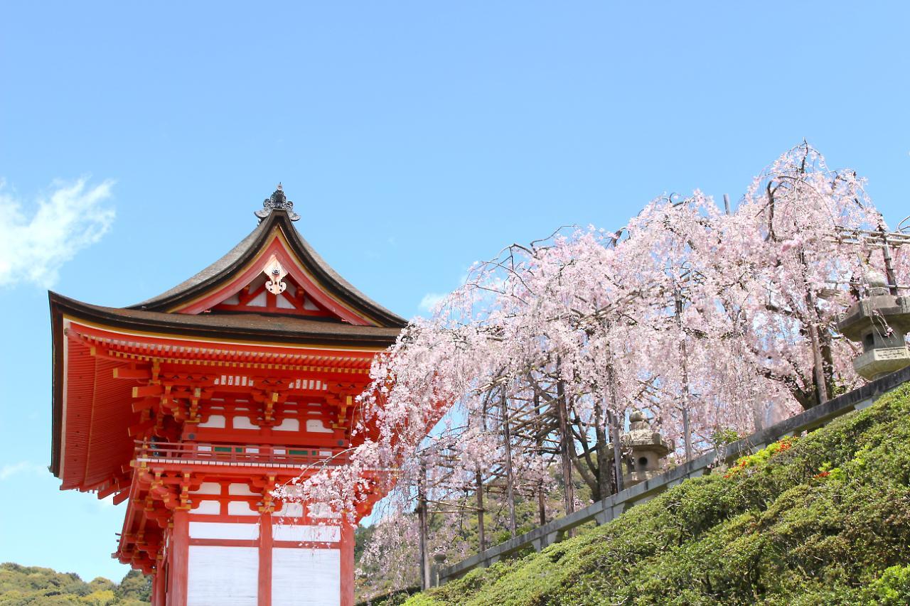 Stay Sakura Kyoto Shijo Karasuma Eksteriør bilde
