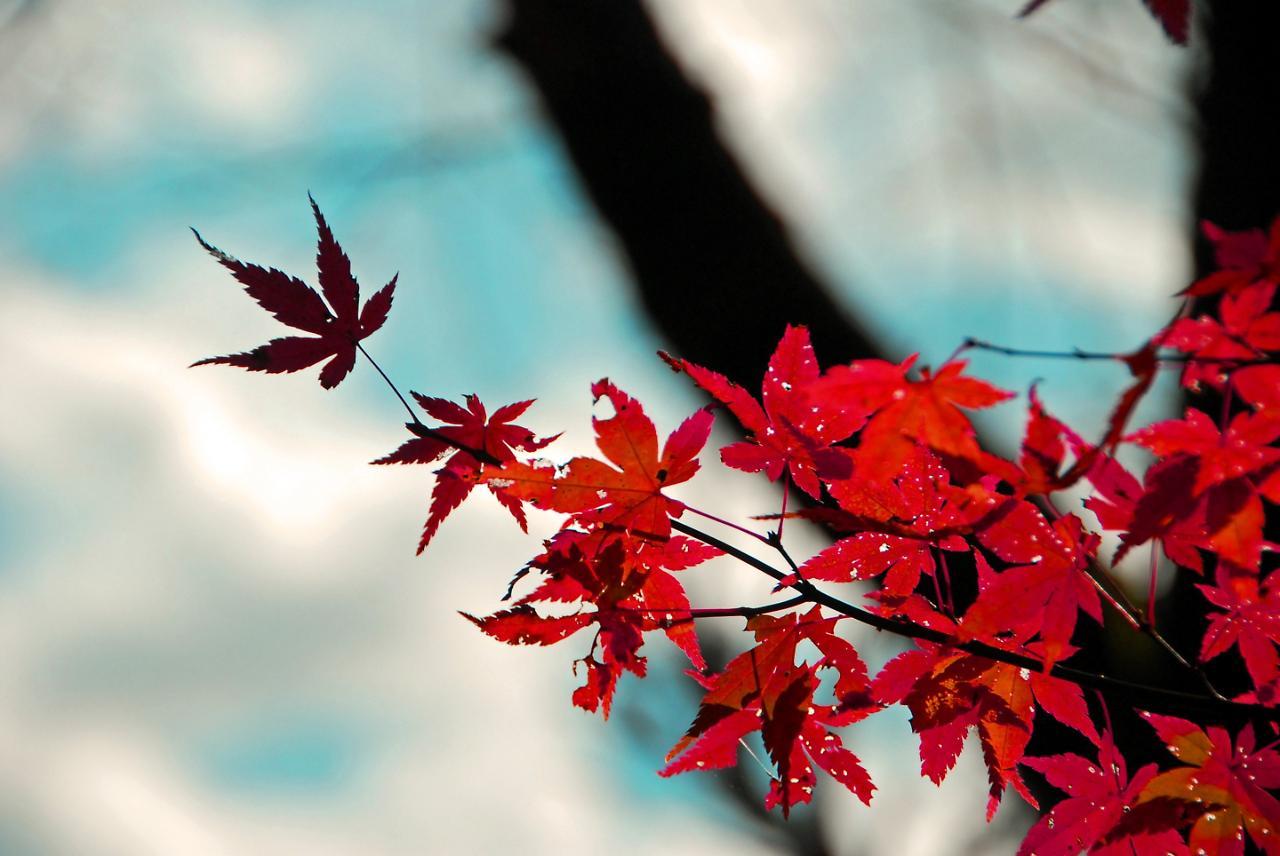 Stay Sakura Kyoto Shijo Karasuma Eksteriør bilde