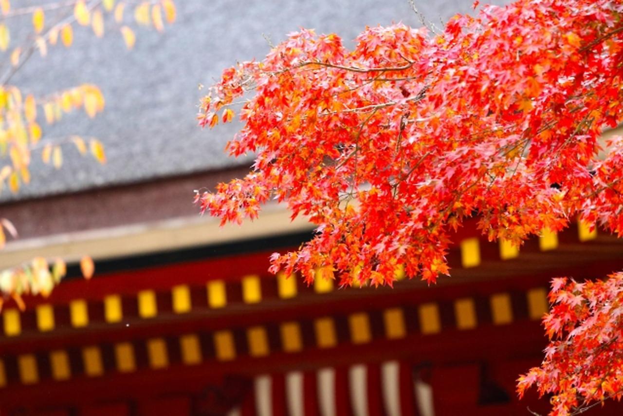 Stay Sakura Kyoto Shijo Karasuma Eksteriør bilde